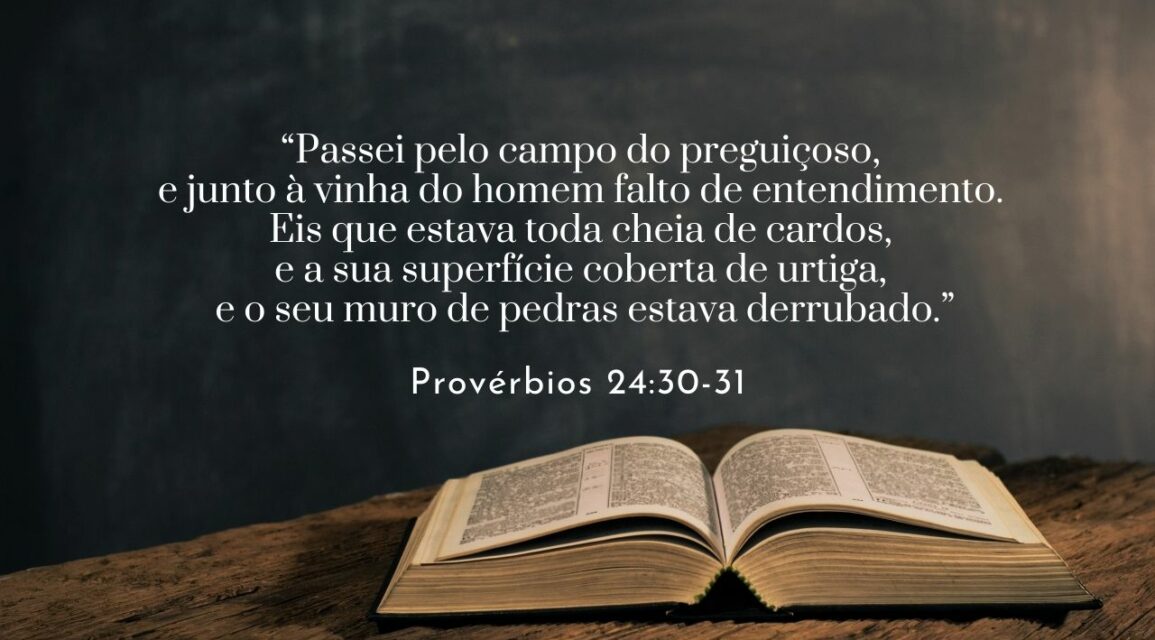 Quando falta entendimento, falta dinheiro – Desafio 22 de 100