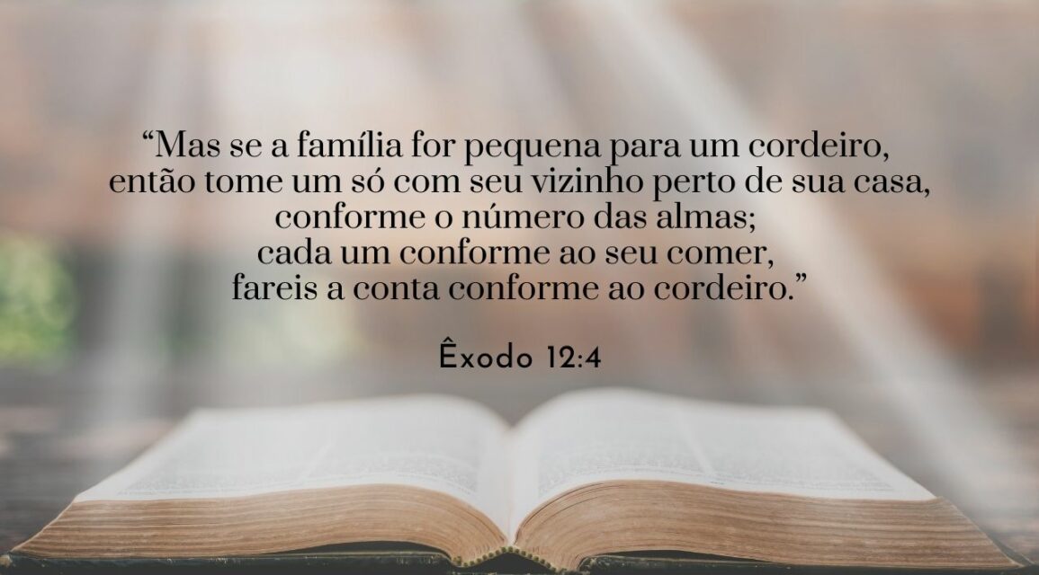 Abundância não é desperdício – Desafio 12 de 100